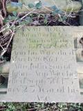 image of grave number 446362